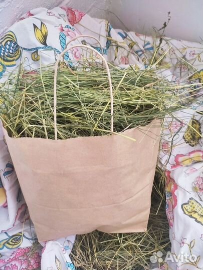 Сено для домашних животных