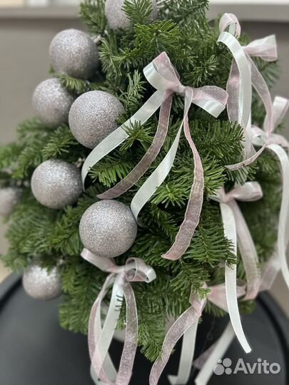 Елка из нобилиса