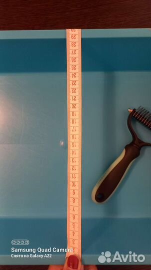 Лоток для кошек