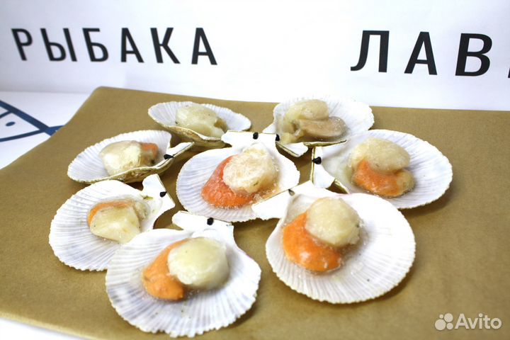 Гребешок на створке