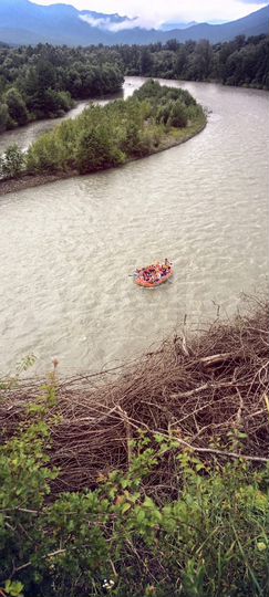 Участок 40 сот. (СНТ, ДНП)