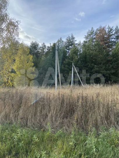 Участок 3 га (ИЖС)