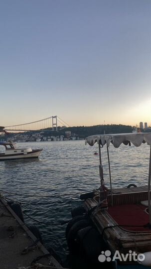 Репетитор по турецкому языку