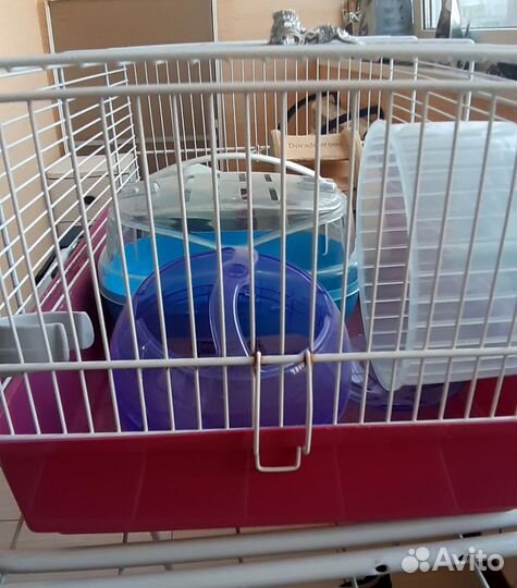 Клетка для джунгарского хомяка