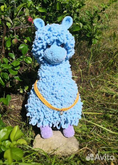 Альпака, лама