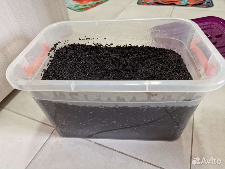 Акварикмный нагреватель Eheim 100w, грунт Dennerle