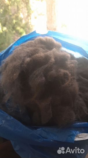 Собачья шерсть для пряжи