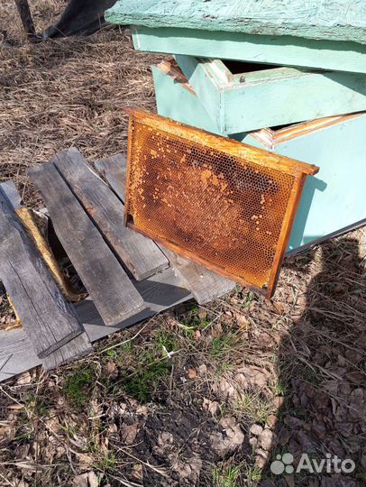 Рамки для ульев дадан, рамки с сушью