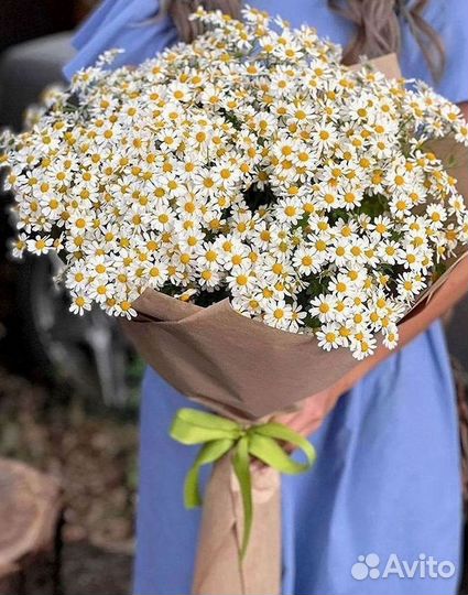 Букеты. Доставка ромашек