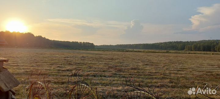 Сено в рулонах