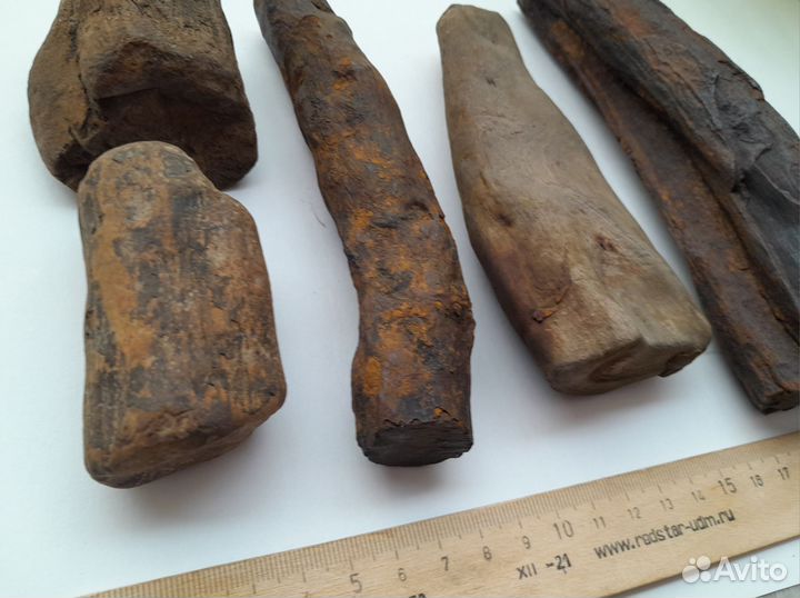 Окаменелое дерево