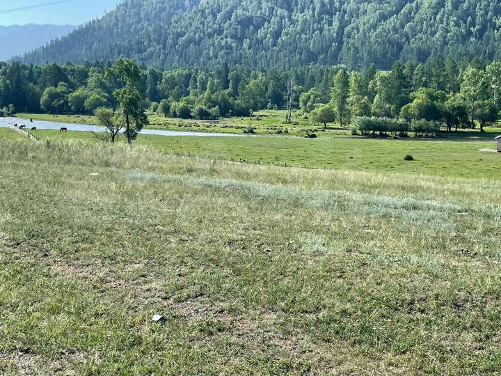 Участок 40 сот. (ИЖС)