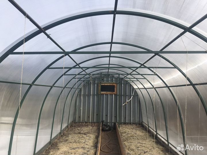 Теплица (Крепыш, Удачная)