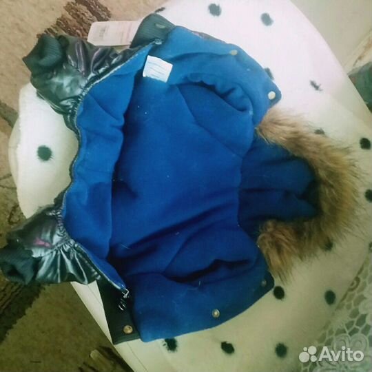 Одежда для собак