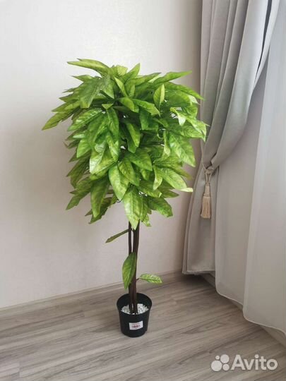 Искусственное дерево манго