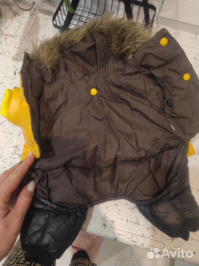 Куртка для собак мелких пород