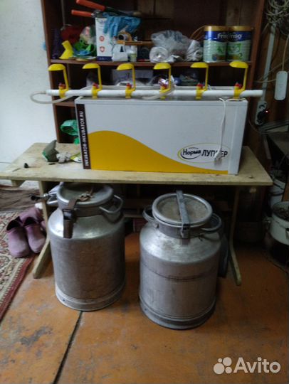 Оборудование для птицеводства