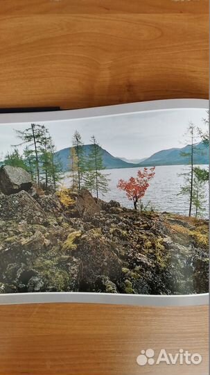 Книга с фото природы (Норникель)