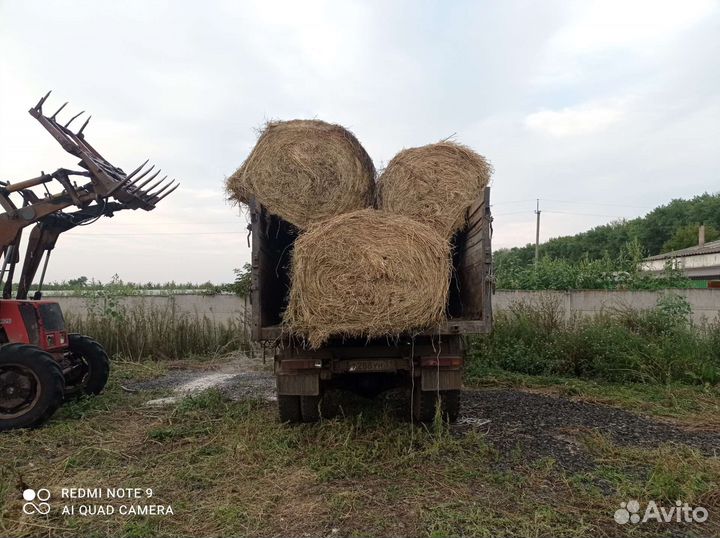 Сено и солома с доставкой