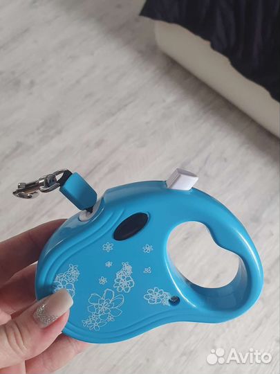 Обувь и поводок