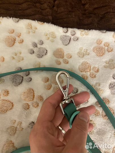 Поводок доя собак, ошейник для собак