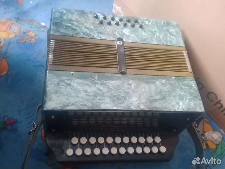 Баян вологодский