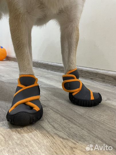 Ботинки зимние для собак