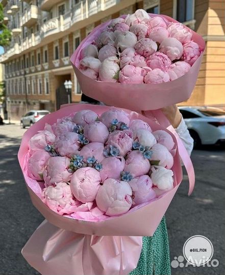 Голландские пионы/ Пионы Букет с доставкой