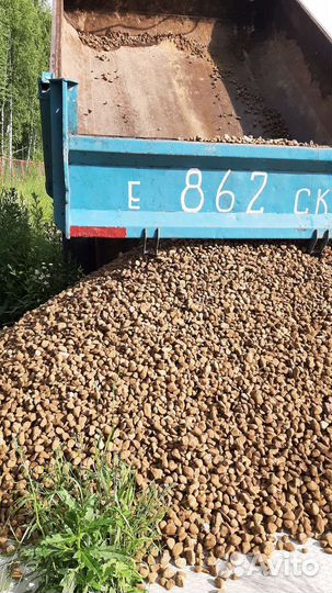 Почвогрунт универсальный с доставкой, Чернозём