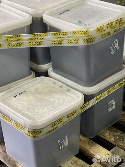 Оптовая продажа меда. Дягиль