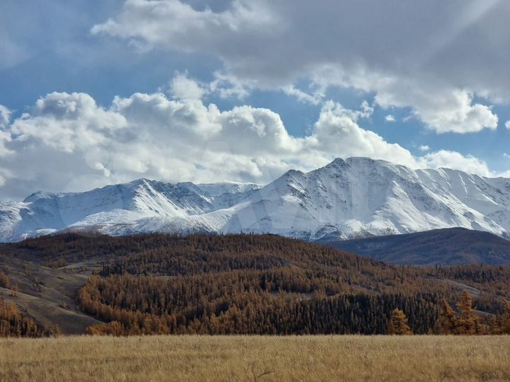 Участок 36,5 га (СНТ, ДНП)