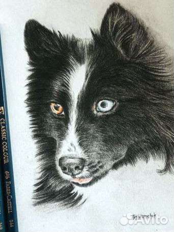 Художник-анималист