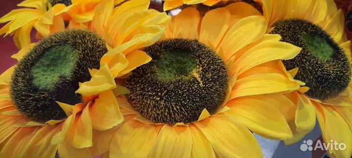 Корни подсолнечника дробленные 200 г