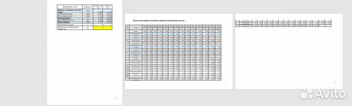 Бизнес план для соцконтракта