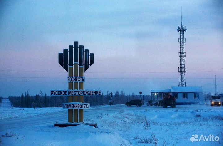 Требуется Водитель кат.се