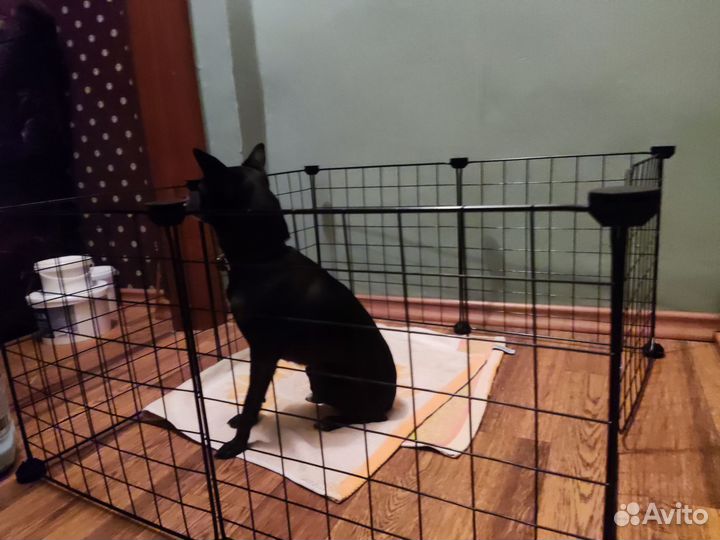 Вольер для собак