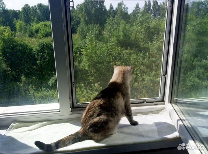 Москитная сетка антикошка