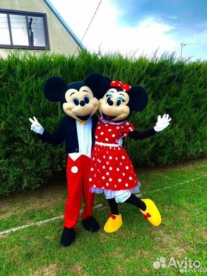 Мишка тедди на праздник