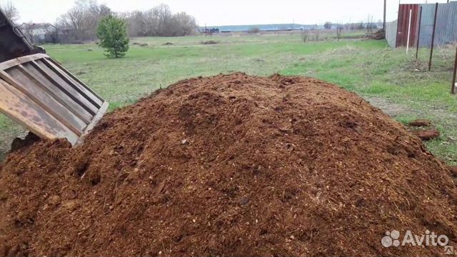 Конский навоз