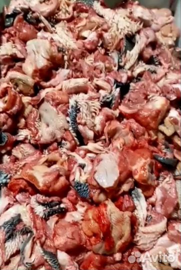 Мясо и субпродукты для собак