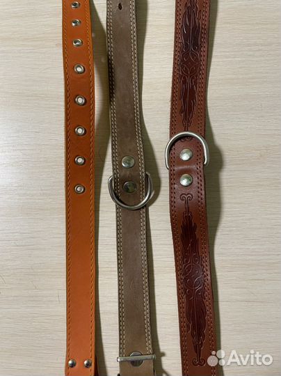 Аммуниция для собак