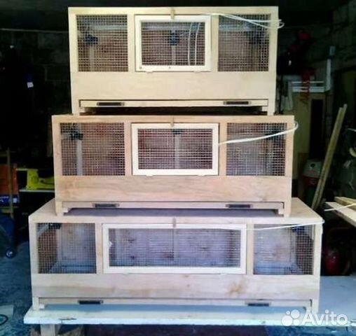 Брудер, брудер для цыплят