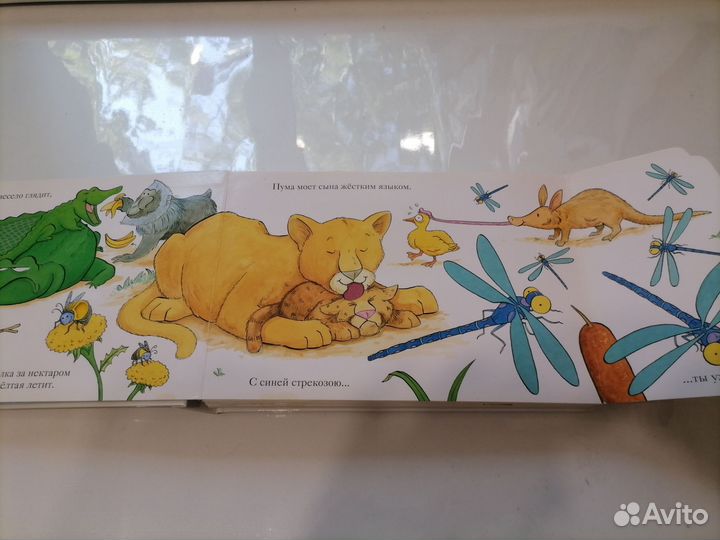 Мэтью Ван Флит