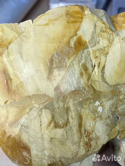 Глина подсолнух