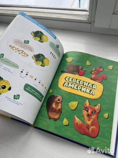 Книга пластилин « развиваем мозг ребенка»