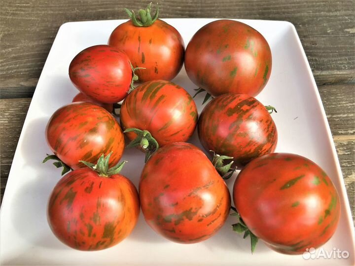 Семена томатов из проекта 