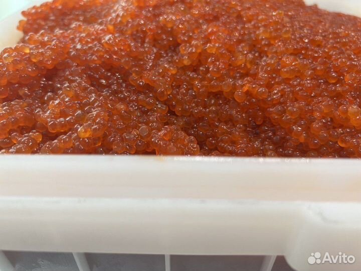 Красная икра натуральная слабосоленая от 25кг