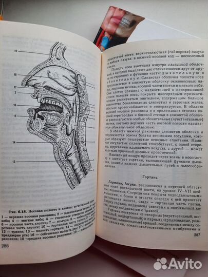 Анатомия атлас и учебник