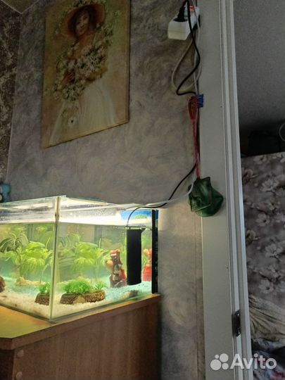 Продажа аквариума, с рыбами и с наполнителями