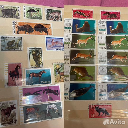 Альбом с почтовыми марками